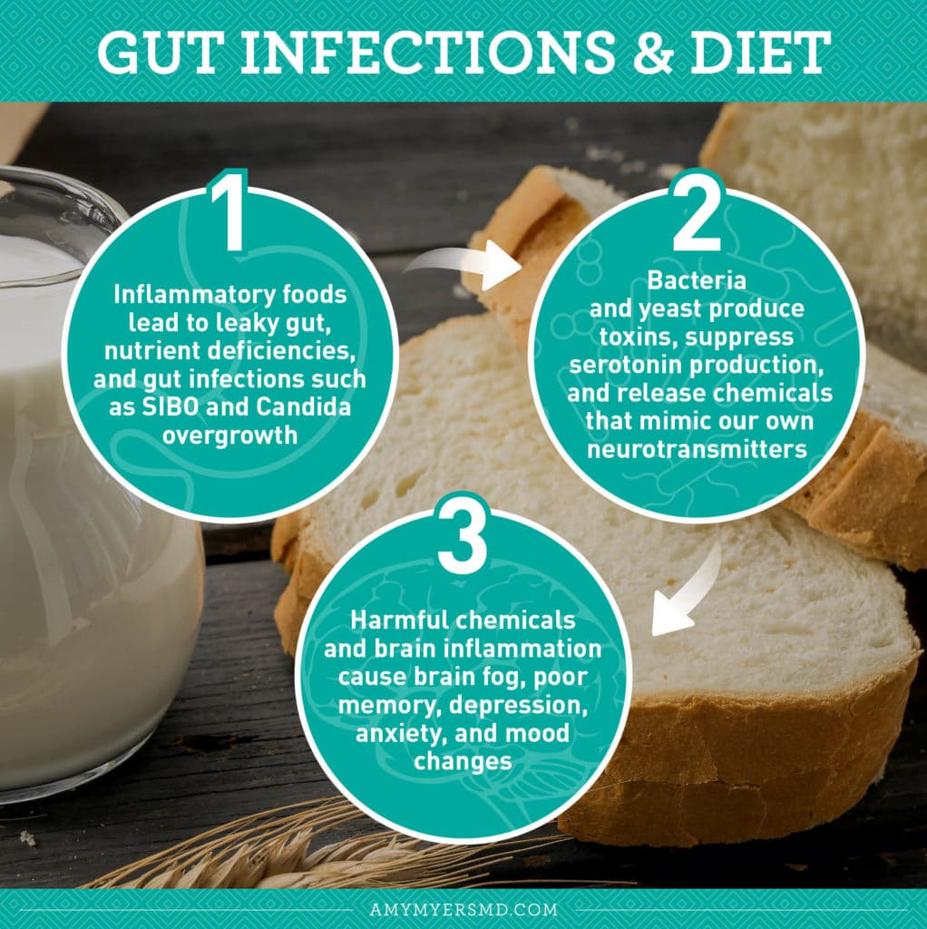 Gut Infections & Diet - Infographic - Amy Myers MD®