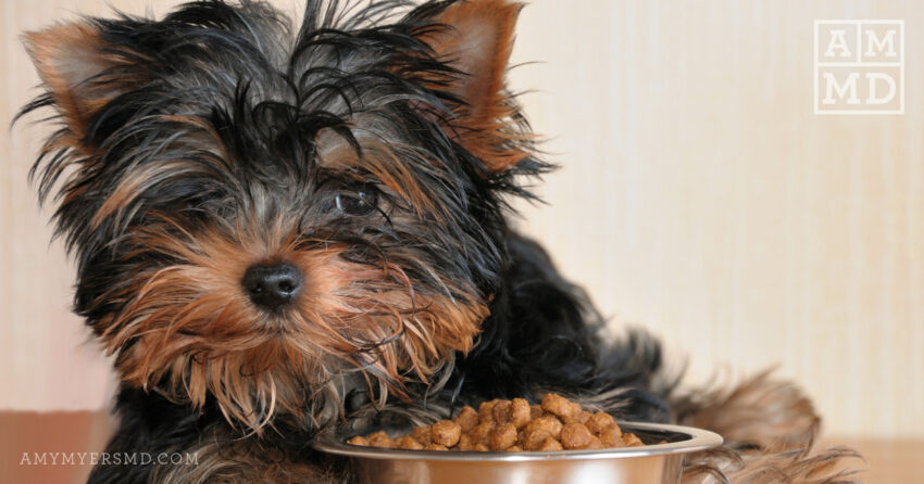 What’s In Your Pet Food?