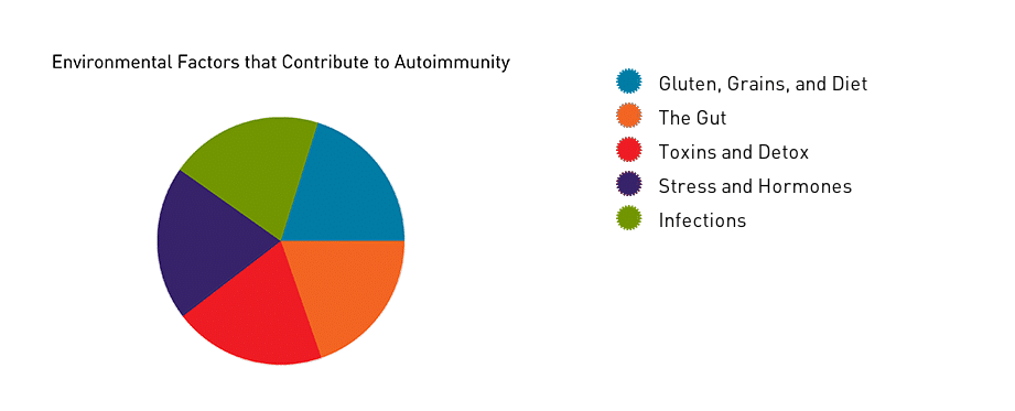 Environmental Factors That Contribute To Autoimmunity - Infographic - Amy Myers MD®