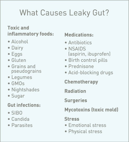 What Causes Leaky Gut? - Infographic - Amy Myers MD®