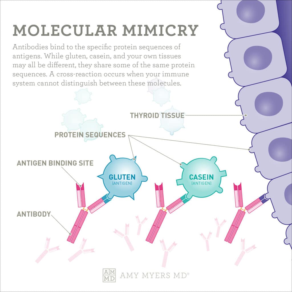 Article_GlutenGutThryoidConnection_Infographic_061123