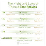 Understanding Your Thyroid Test Results | Amy Myers MD