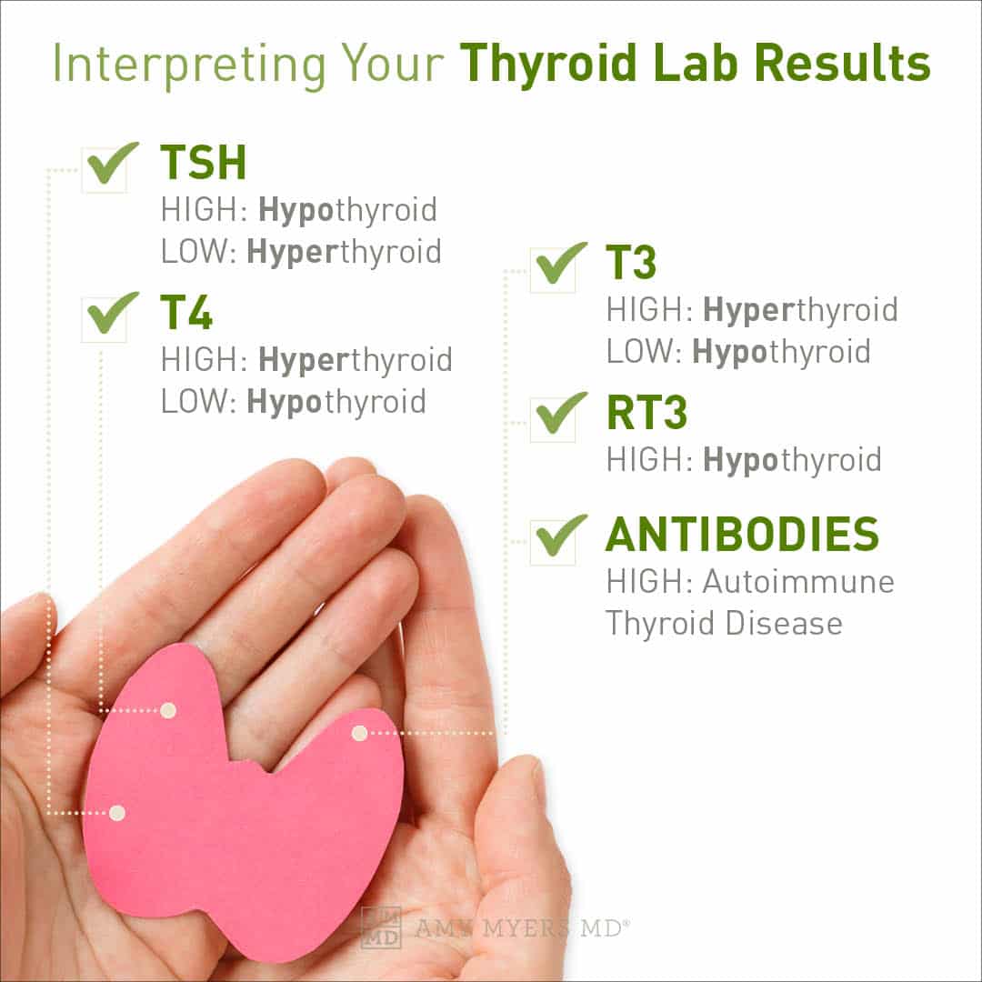 Understanding Your Thyroid Test Results – Amy Myers MD
