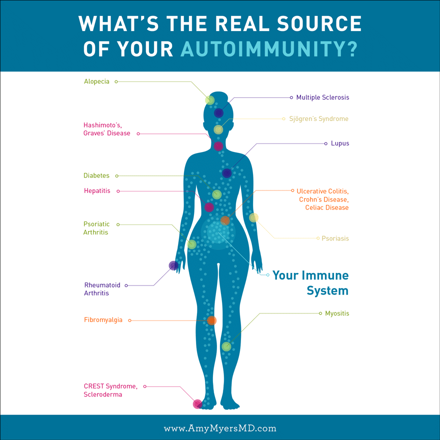 What's The Real Source Of Your Autoimmunity? - Infographic - Amy Myers MD®