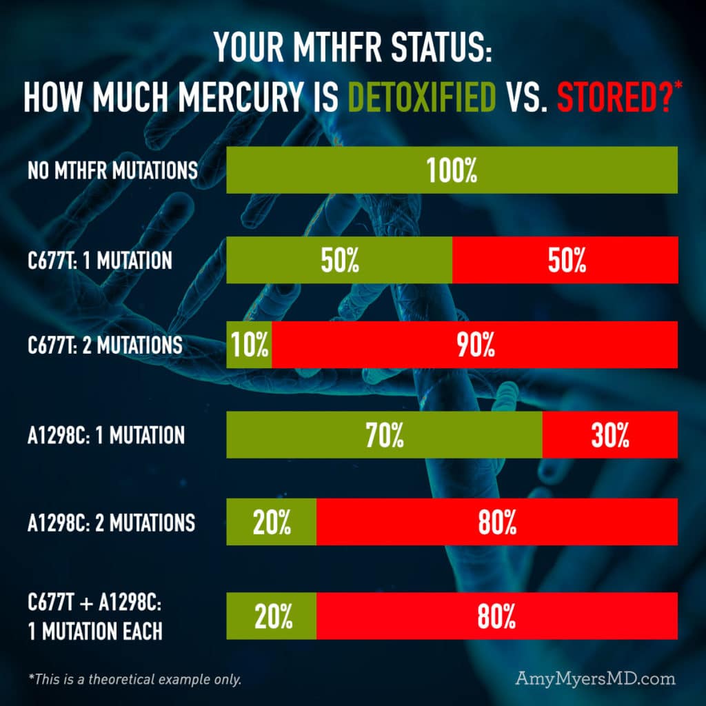 Your MTHFR Status: How Much Mercury Is Detoxified vs. Stored - Infographic - Amy Myers MD®