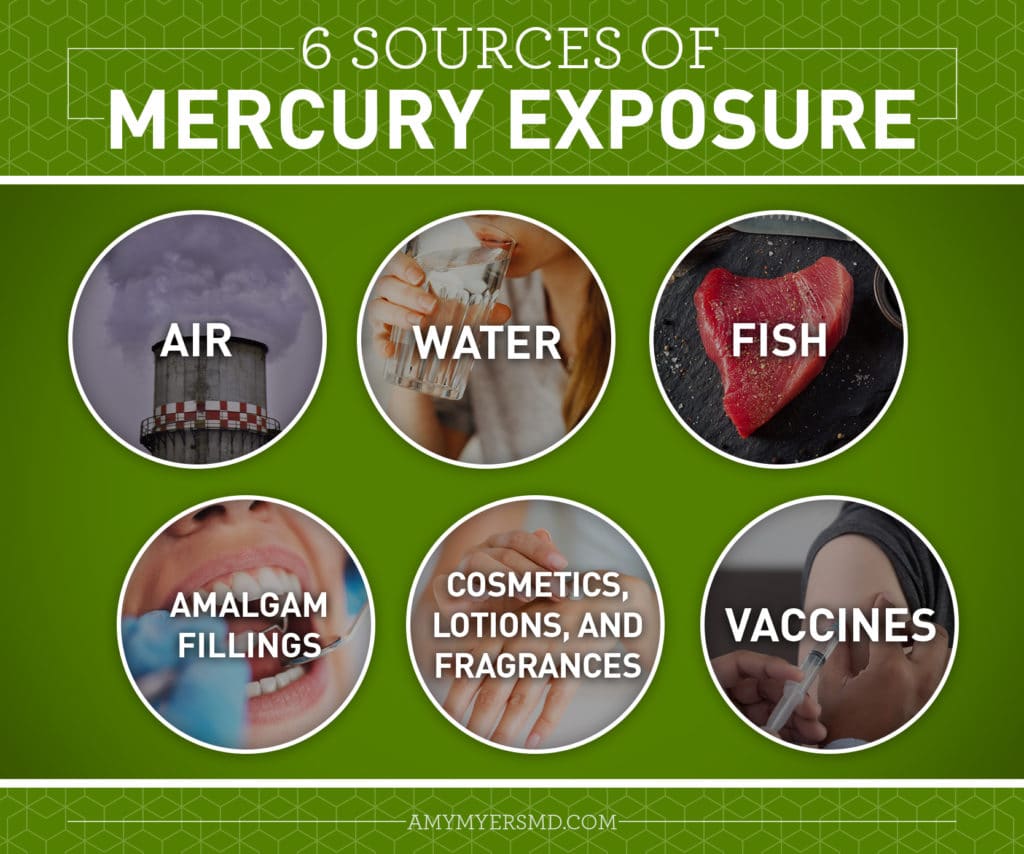 6 Sources Of Mercury Exposure - Infographic - Amy Myers MD®