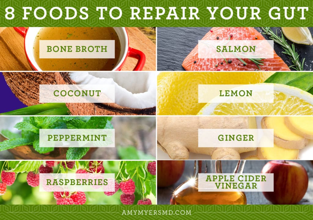 8 Foods To Repair Your Gut - Infographic - Amy Myers MD®