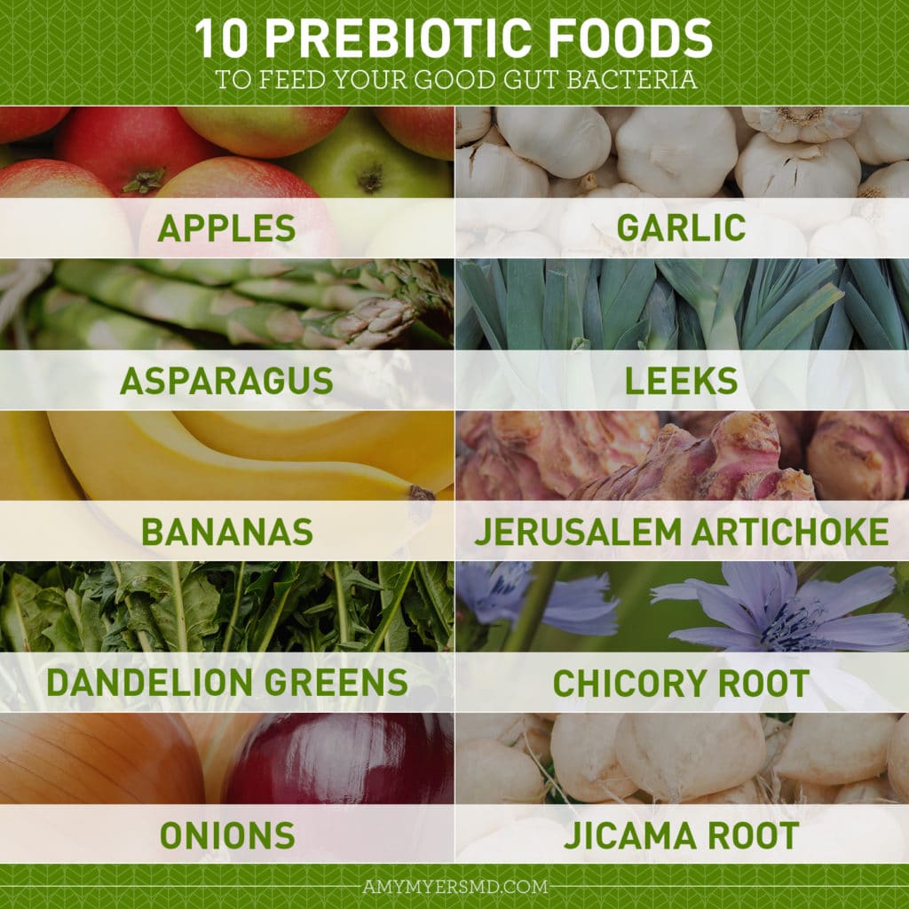 10 Prebiotic Foods To Feed Your Good Gut Bacteria - Infographic - Amy Myers MD®