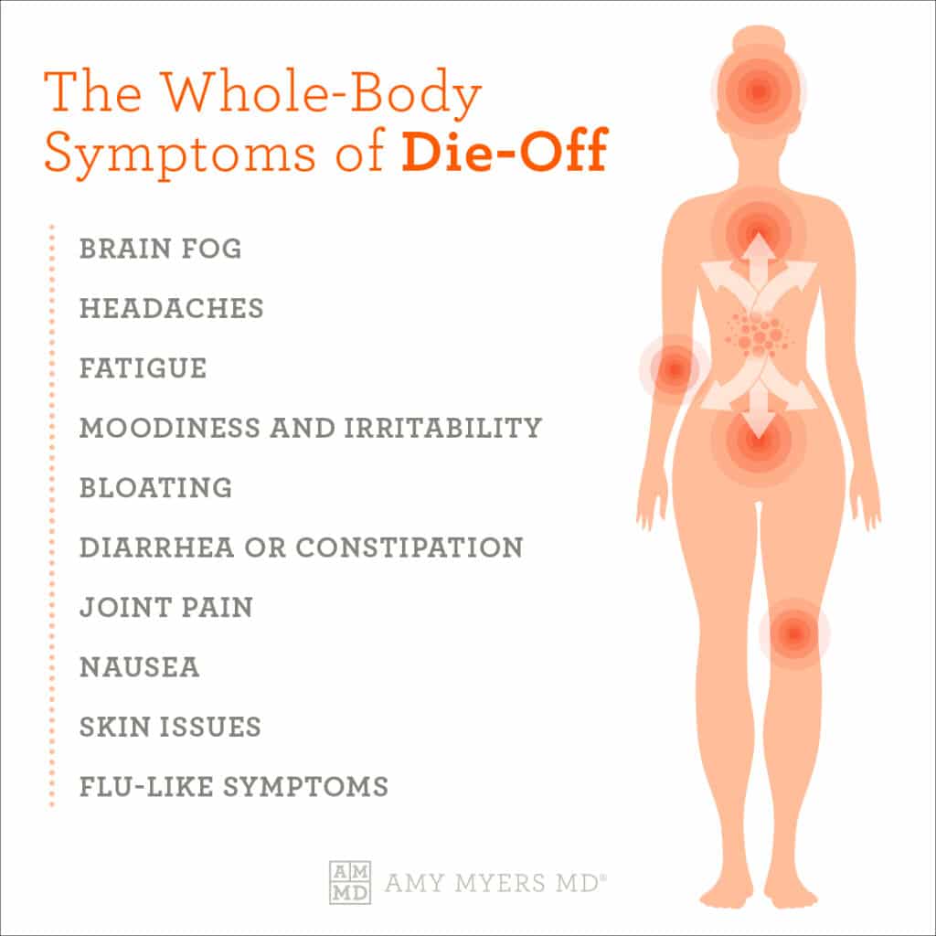 candida in stool die off