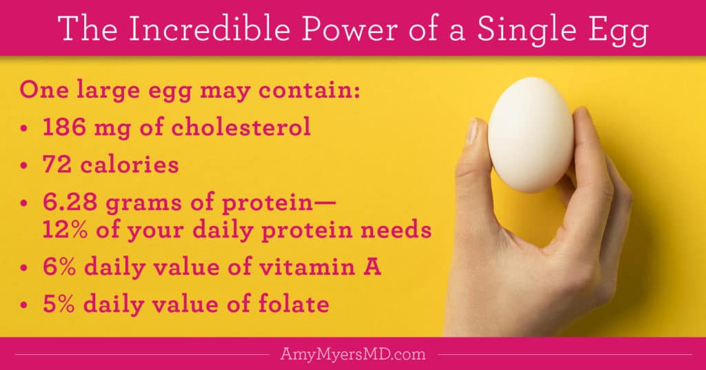 The Incredible Power Of a Single Egg - Infographic - Amy Myers MD®