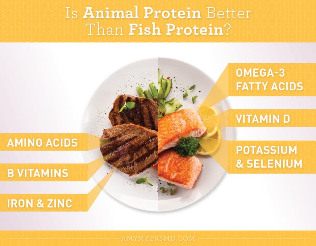 From fish to bacon, a ranking of animal proteins in order of