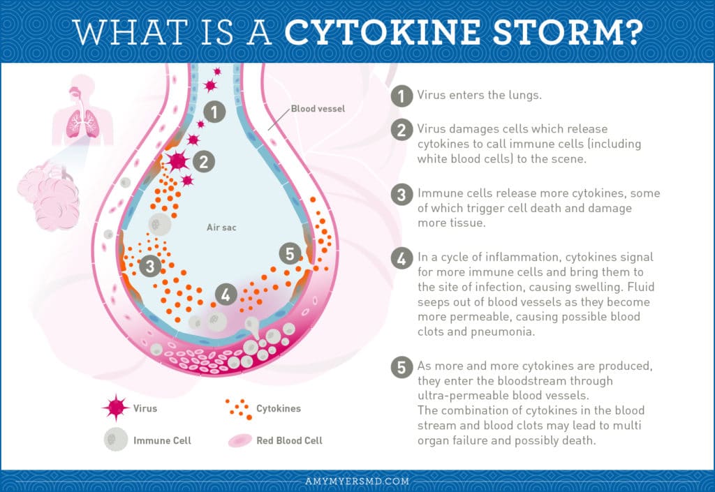 What Is A Cytokine Storm? - Infographic - Amy Myers MD®