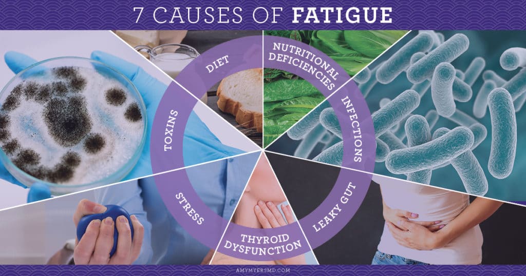 7 Causes Of Fatigue - Infographics - Amy Myers MD®