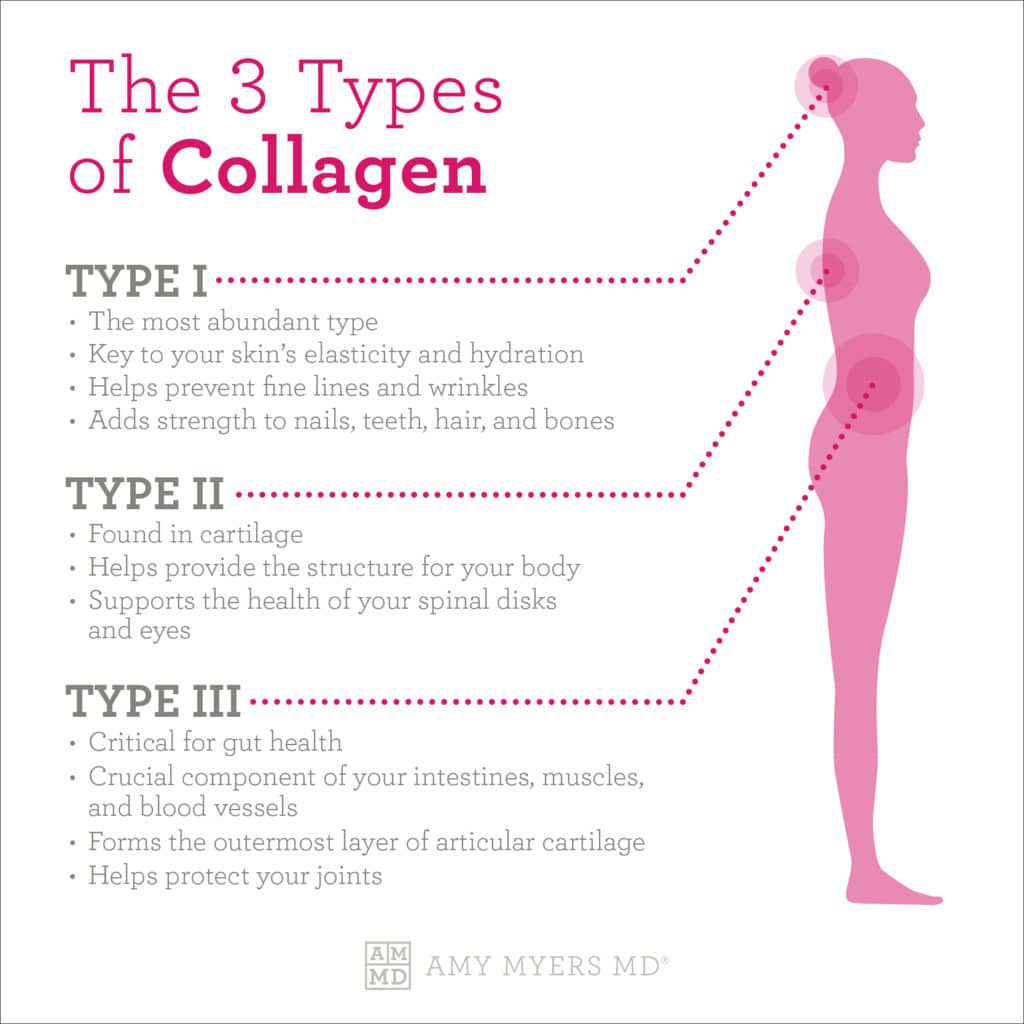 3 Types of Collagen - Infographic - Amy Myers MD®