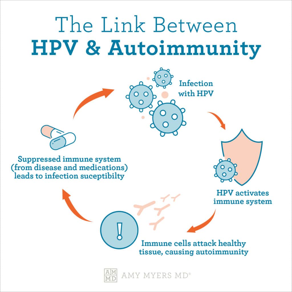 The Link Between HPV and Autoimmunity - Infographic - Amy Myers MD®