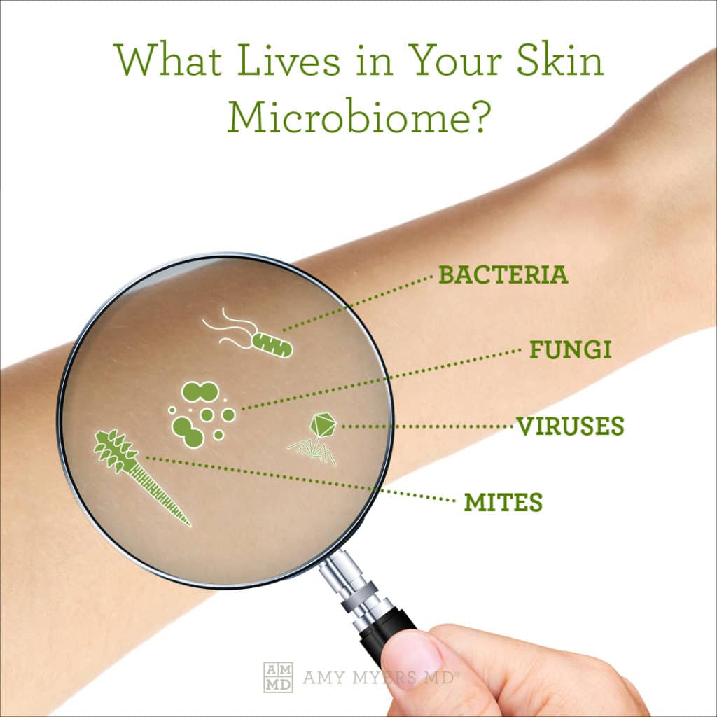 What Lives In your Skin Microbiome? - Infographic - Amy Myers MD®