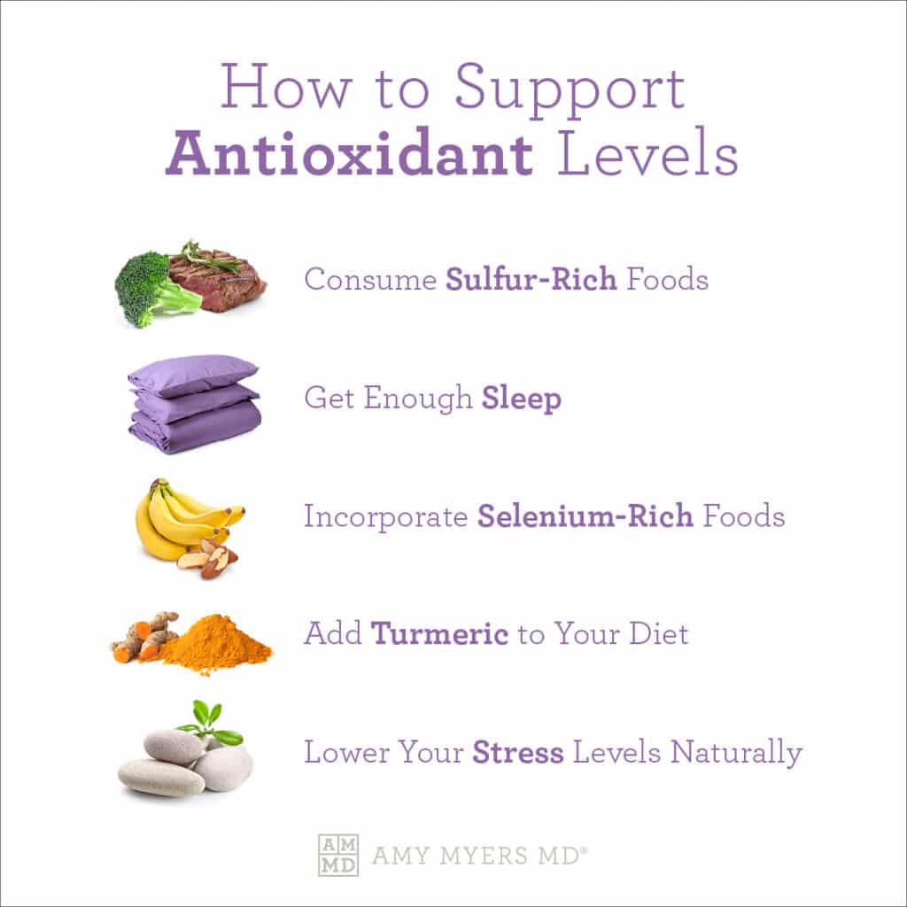 How To Support Antioxidant Levels - Infographic - Amy Myers MD®