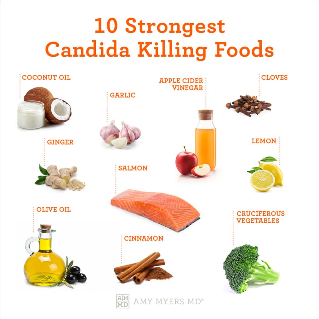 10 Strongest Candida Killer Foods - Infographic - Amy Myers MD®