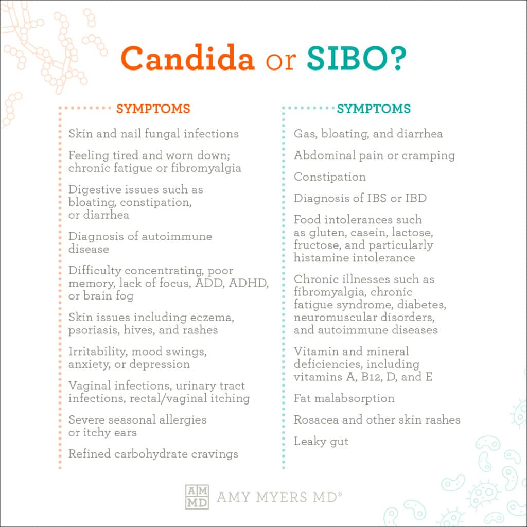 SIBO SIFO And Candida Overgrowth A Gutsy Girl 41 OFF