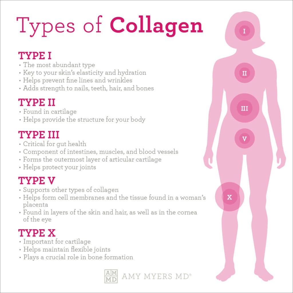 Types of Collagen - Infographic - Amy Myers MD®