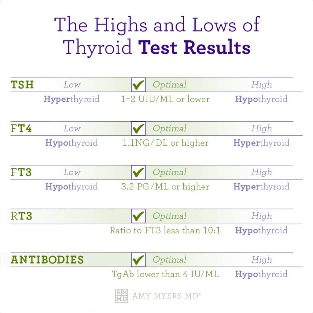 The Highs and Lows of Thyroid Test Results - Infographic - Amy Myers MD®