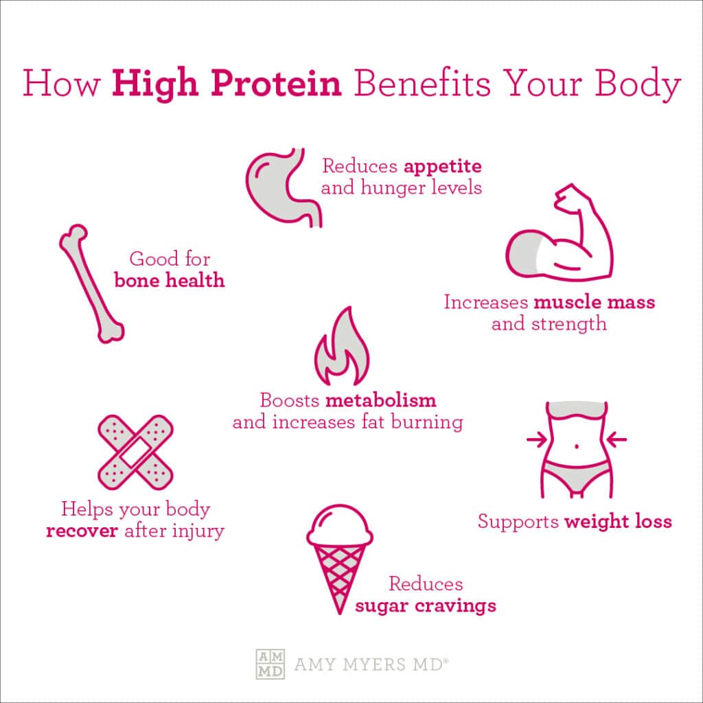 How High Protein Benefits Your Body - Infographic - Amy Myers MD®