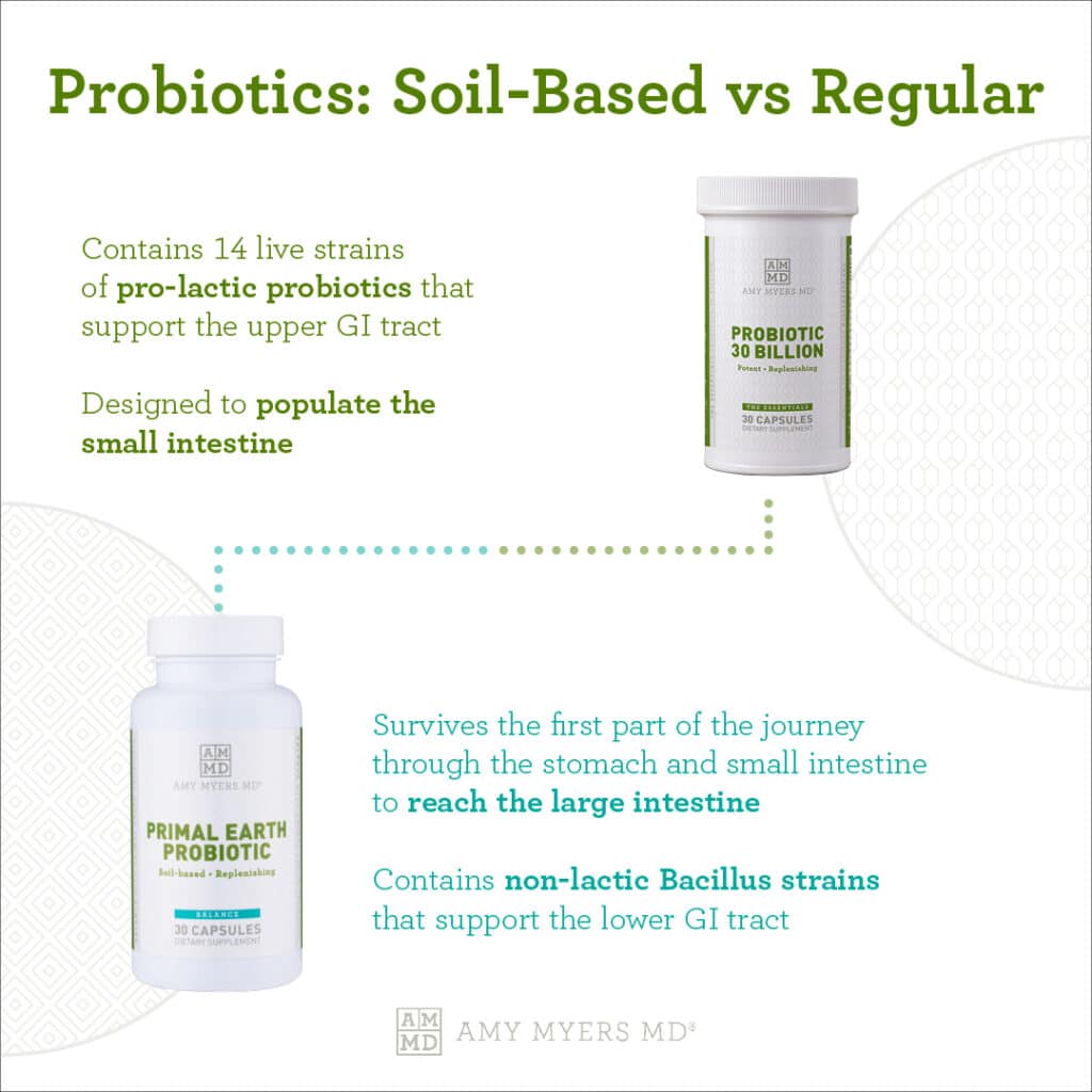 Best Soil-Based Organism (SBO) Probiotics