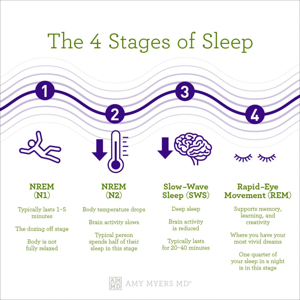 Stages Of Nrem