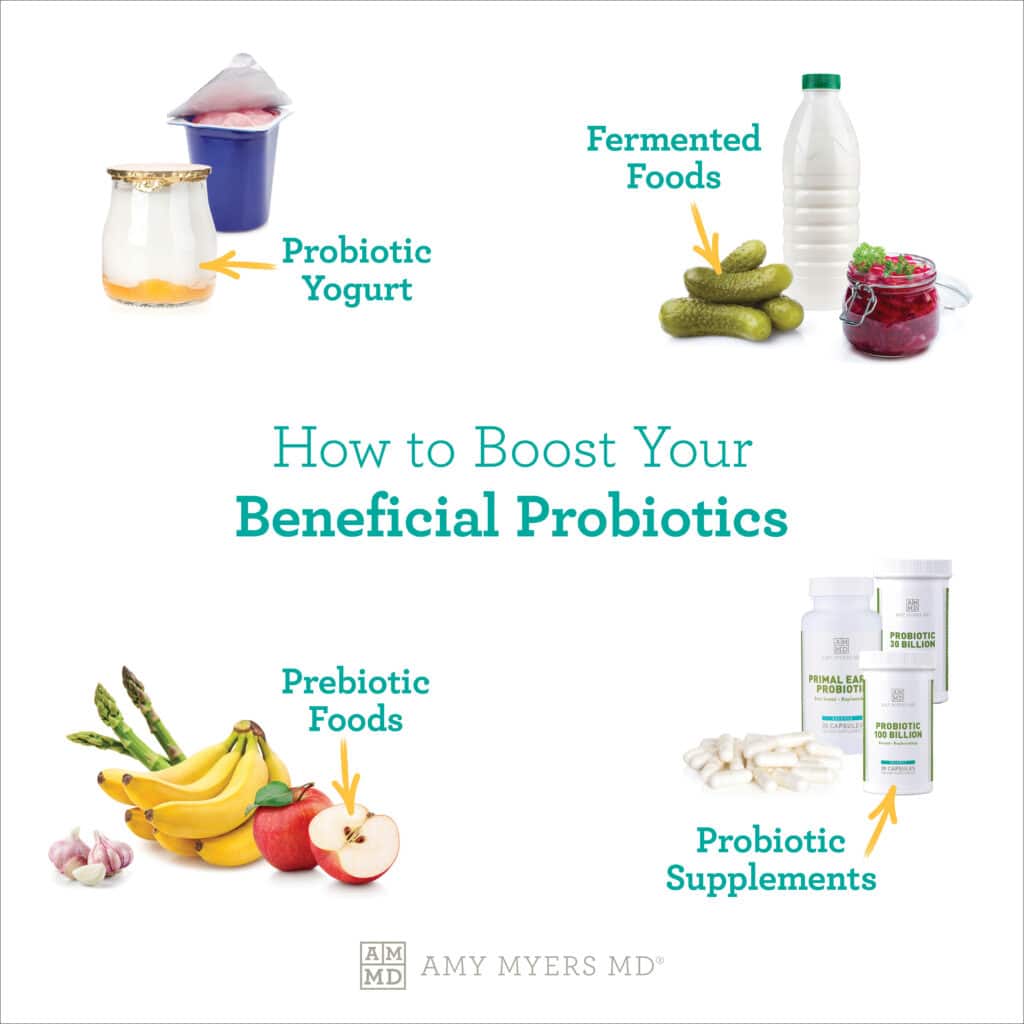 Best Soil-Based Organism (SBO) Probiotics