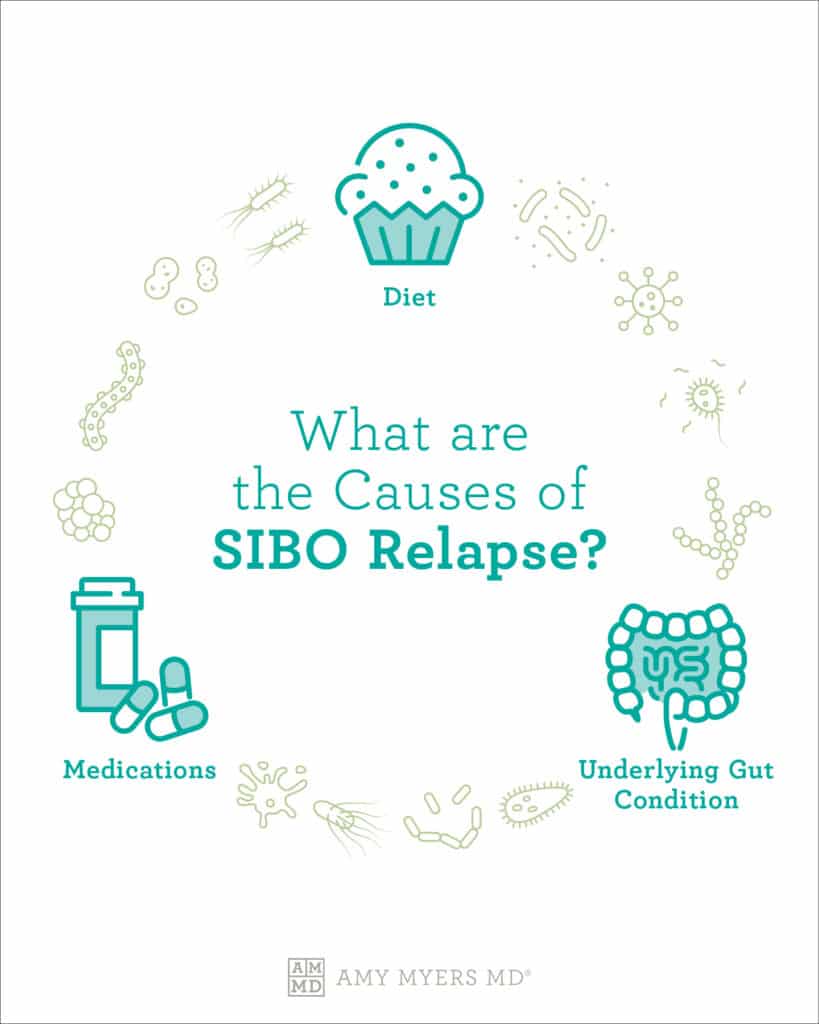 What are The Causes of SIBO Relapse? - Infographic - Amy Myers MD®