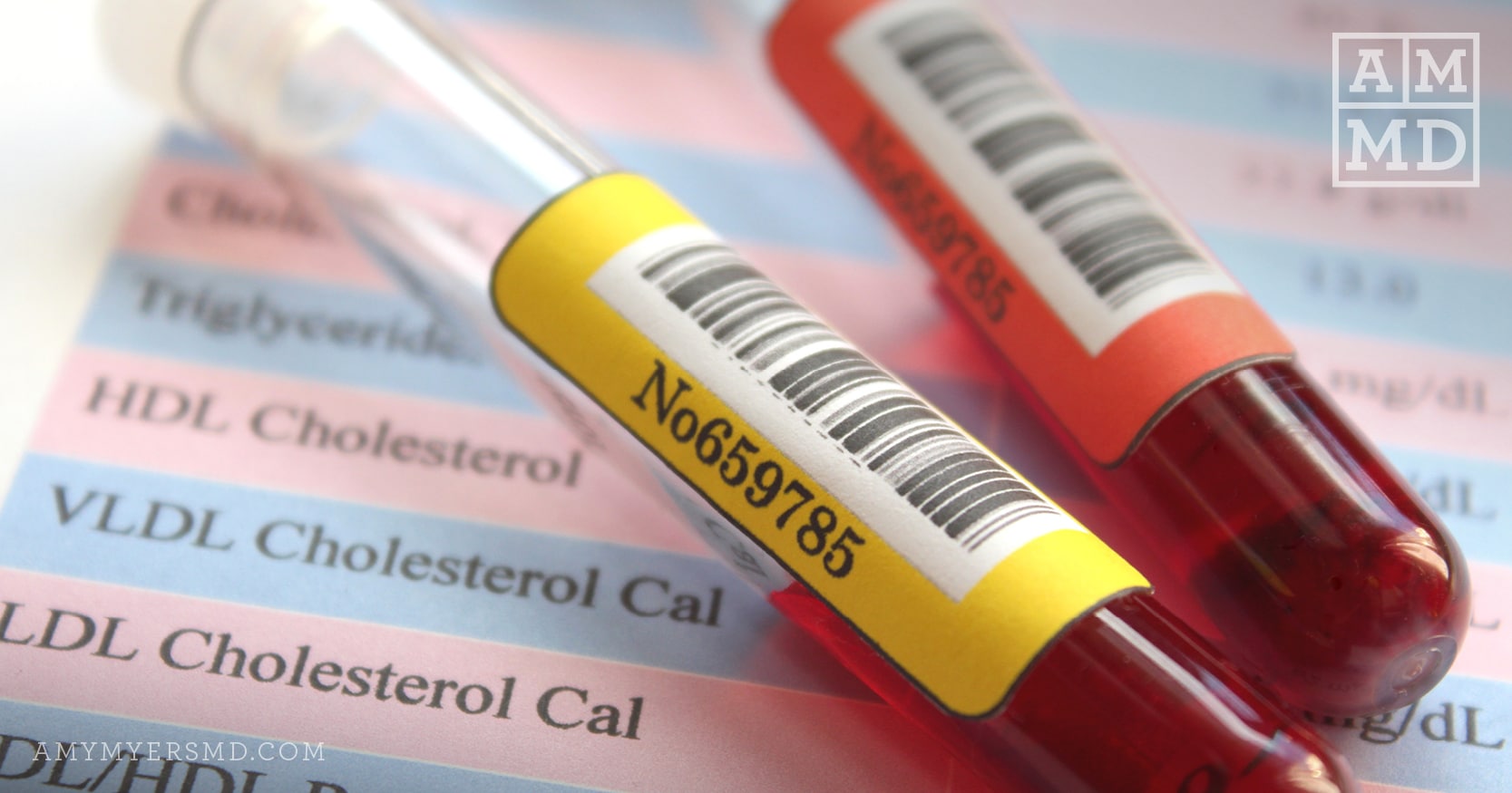 Your Lipid Panel Test: What Your Doctor Isn’t Telling You | Amy Myers MD