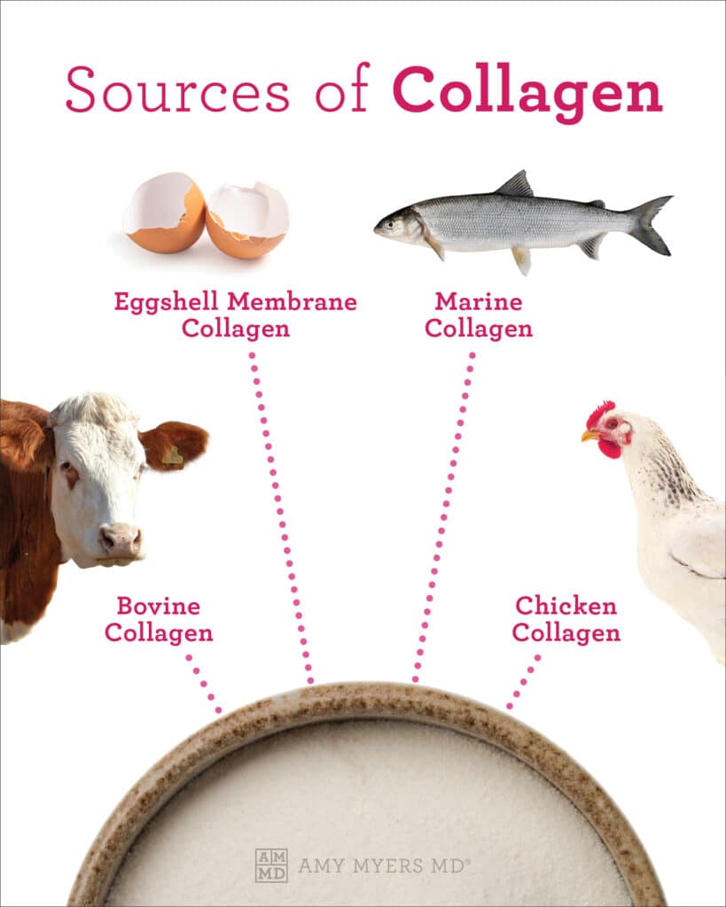 What to look for in a collagen powder - Sources of Collagen - Infographics - Amy Myers MD®