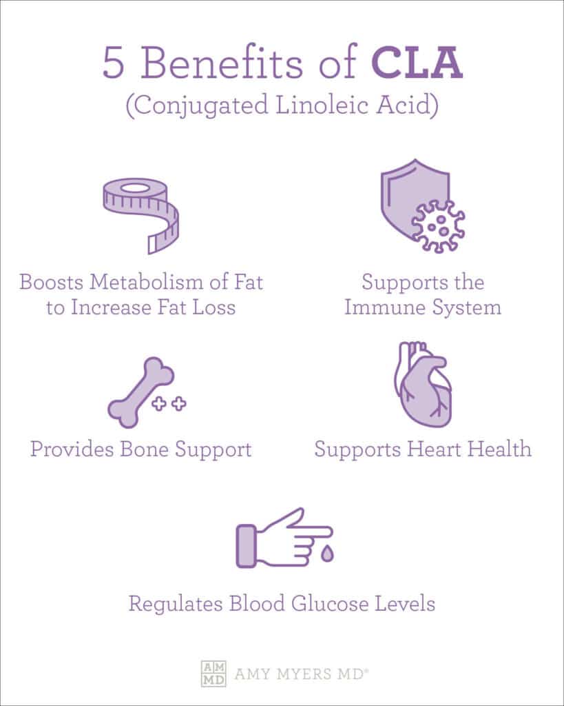 Benefits of CLA (conjucated linoleic acid) - Infographic - Amy Myers MD®