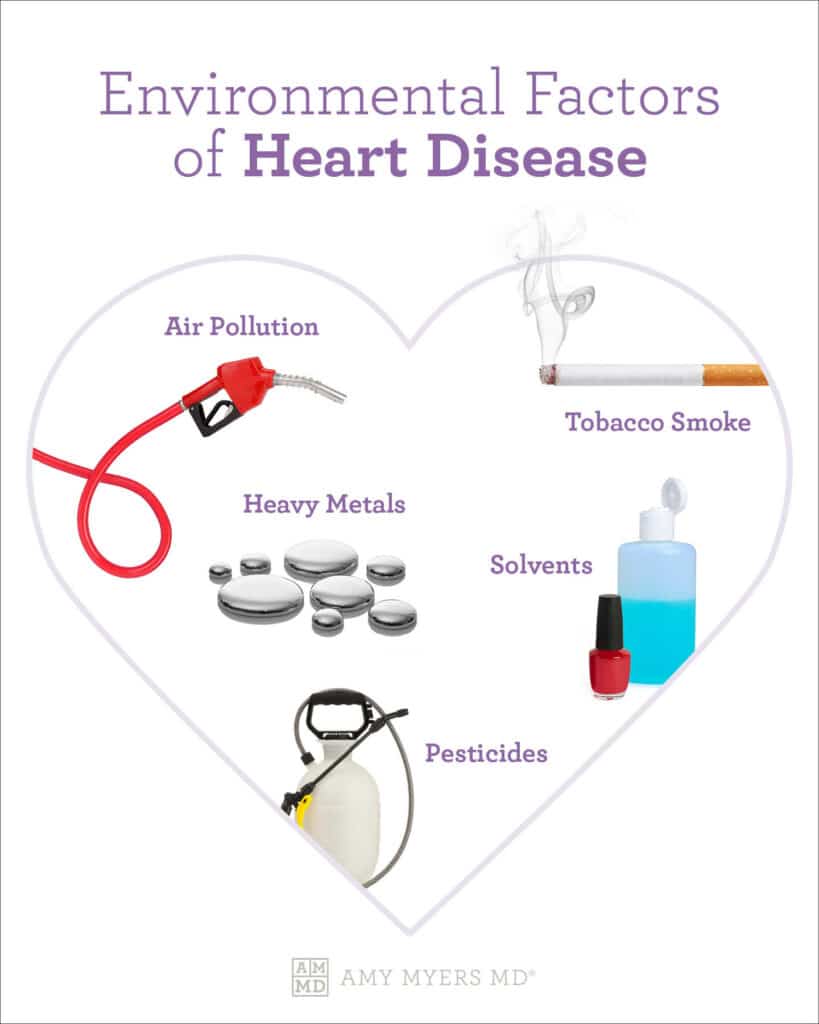 Environmental Risk Factors for Heart Disease - Infographic - Amy Myers MD®