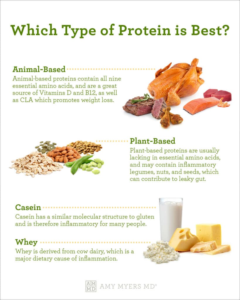 animal-based protein - infographic - Amy Myers MD®