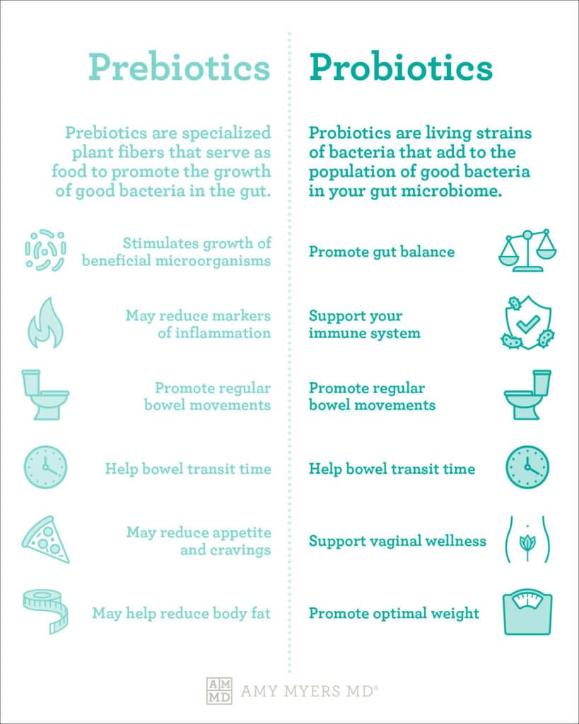 The difference between prebiotics and probiotics - Infographic - Amy Myers MD®