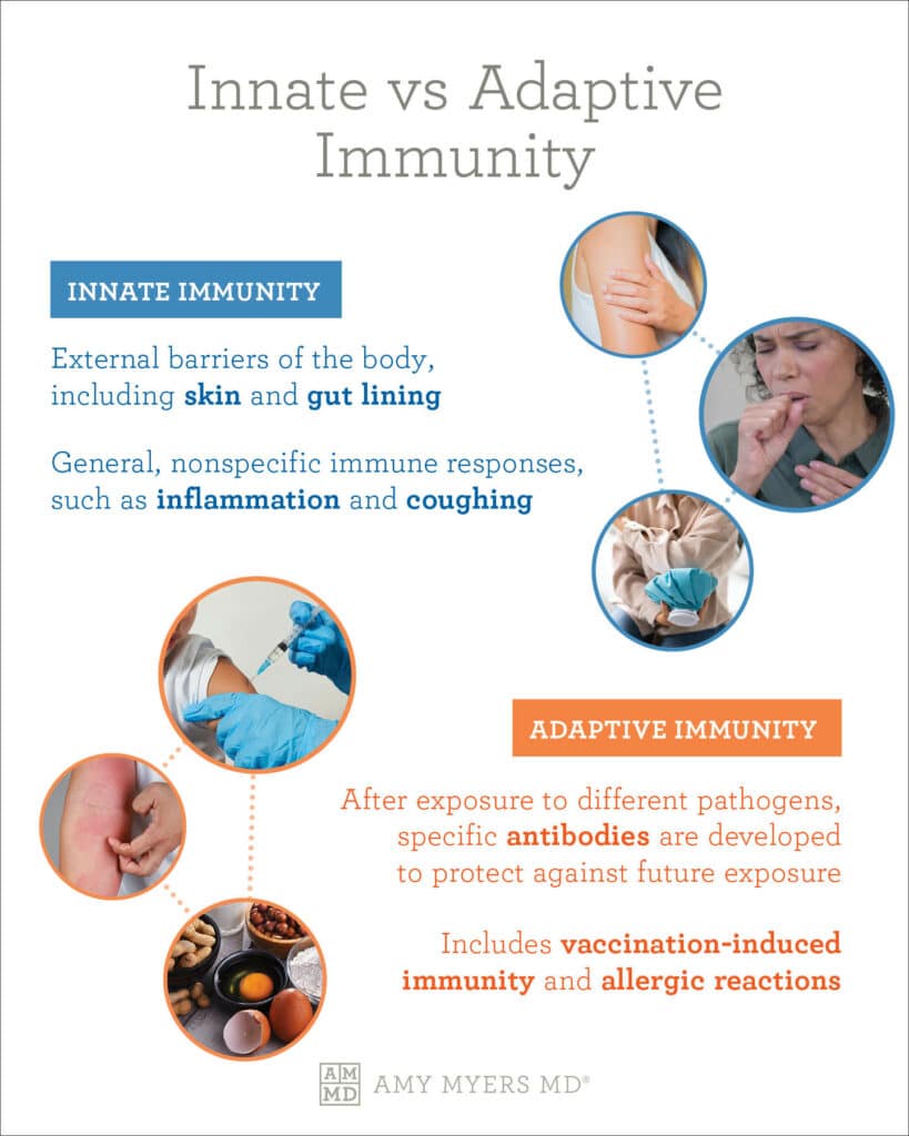 gut health and immune system - infographic - Amy Myers MD®