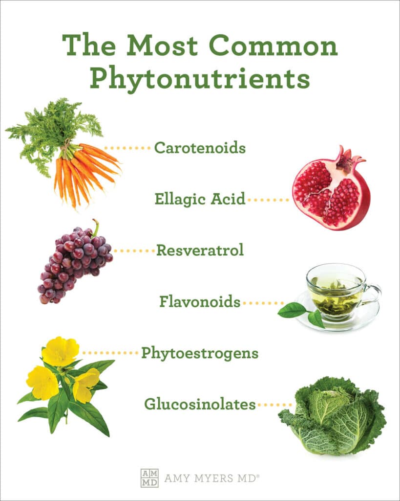 what are phytonutrients - infographic - Amy Myers MD®