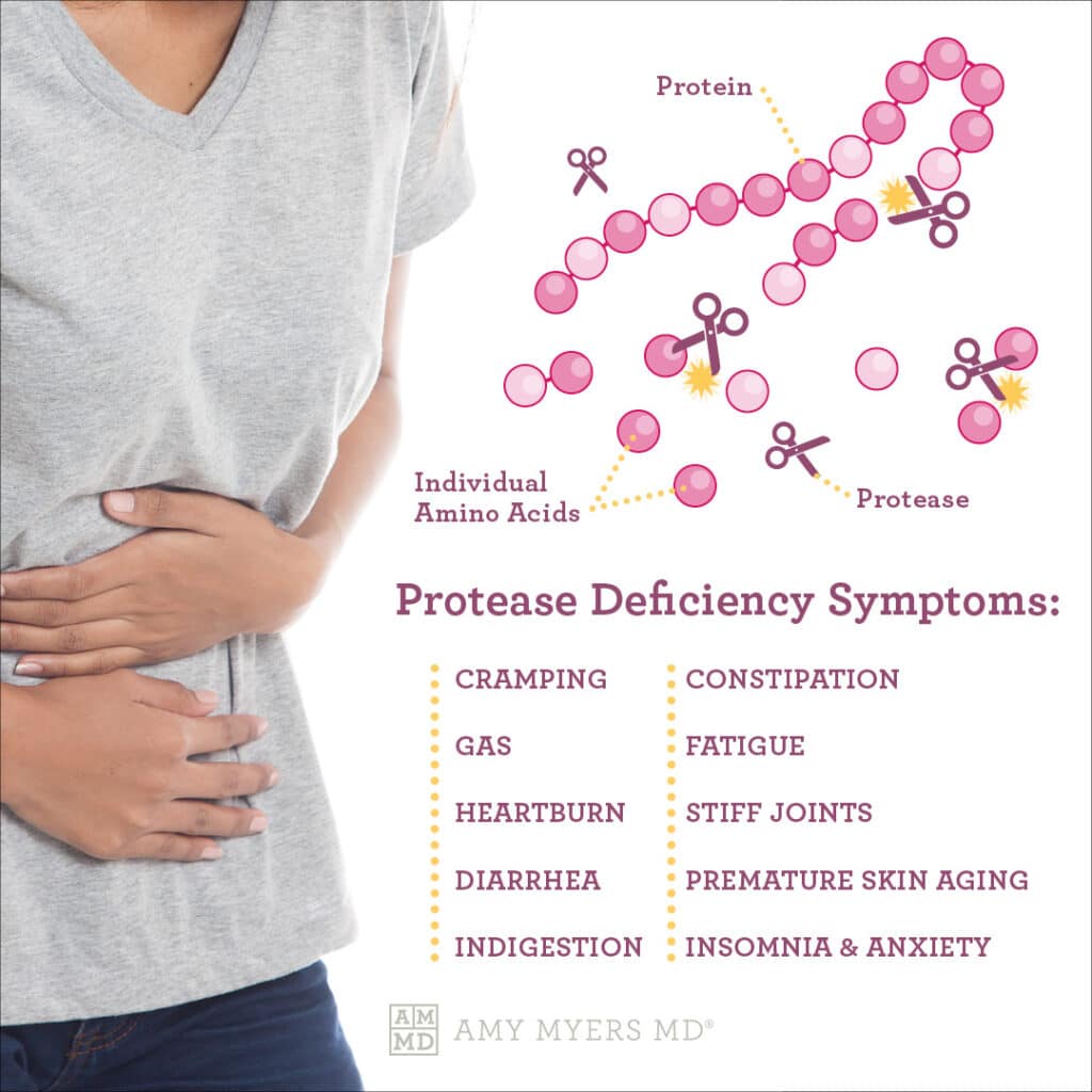 protein digestion - infographic - Amy Myers MD®