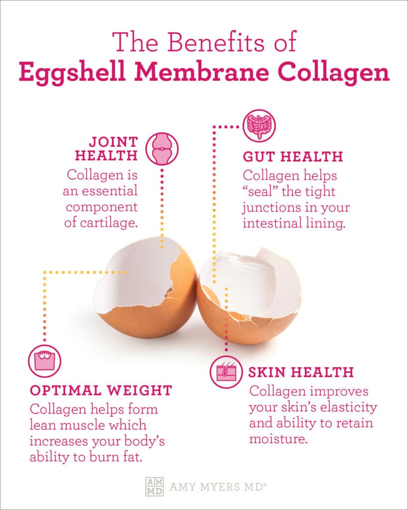 Eggshell Membrane Collagen - Infographic - Amy Myers MD