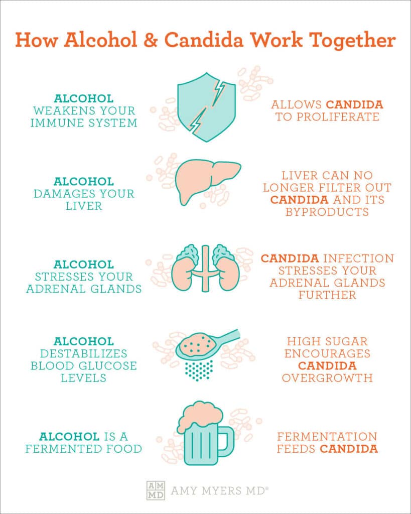 alcohol and candida - infographic - Amy Myers MD®