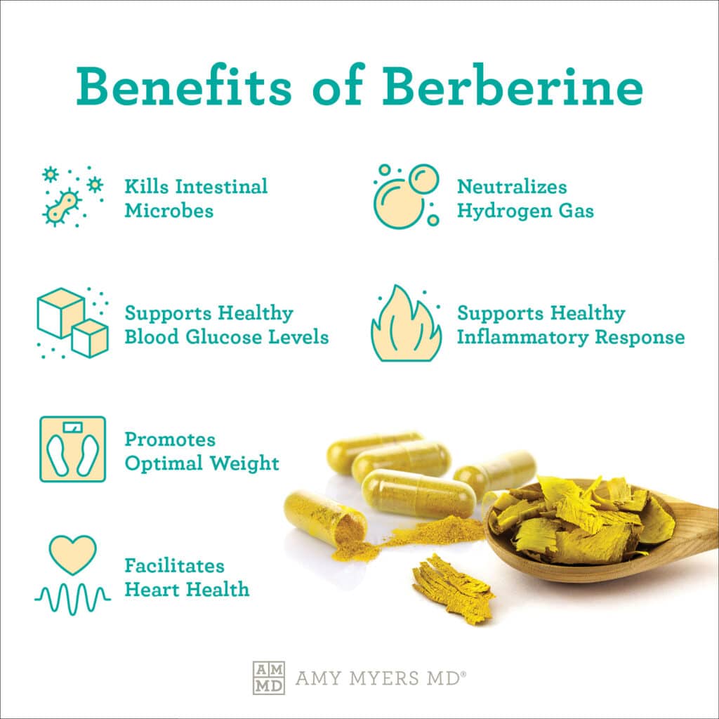 berberine benefits - infographic - Amy Myers MD®