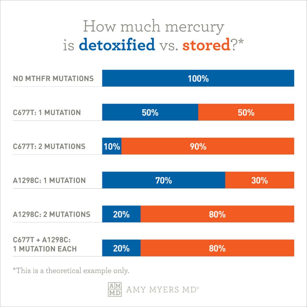 How much mercury is detoxified vs. Stored? - Infographic - Amy Myers MD