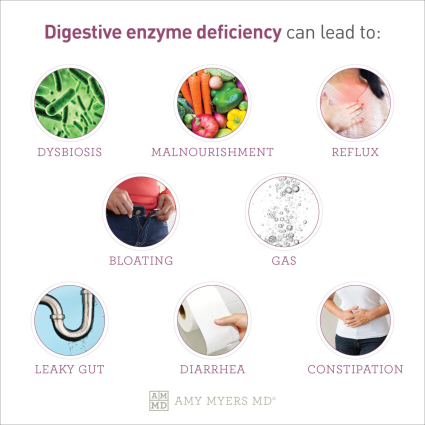 Enzyme Deficiencies and Digestive Enzymes Supplements Amy Myers MD